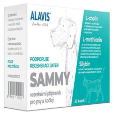 Alavis Sammy 30tbl.